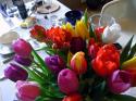 Erstaunliche Erkenntnisse und überraschend Linsensuppe mit Tulpen...13. März