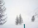 Sonntag und ein spezieller, Schneesturm und Rückenwind...28. Februar