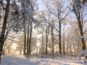 Wintermärchenland, laufen mit knirschen, Kafi mit Neuigkeiten und heilige Erde...11. Dezember