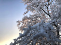Wintermärchen, so schön, viele News, funktionierende Geräte und der Advent...3. Dezember