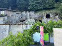 Ein grossartiger Ort, Rhea die Käferkillerin, schwimmen, schwatzen und Medis aus Lugano...7. Juli
