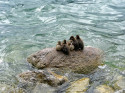 Alles anders, laufen im Sturm, verschreckte Tierchen und eine Wahnsinnsbiografie...11. Mai